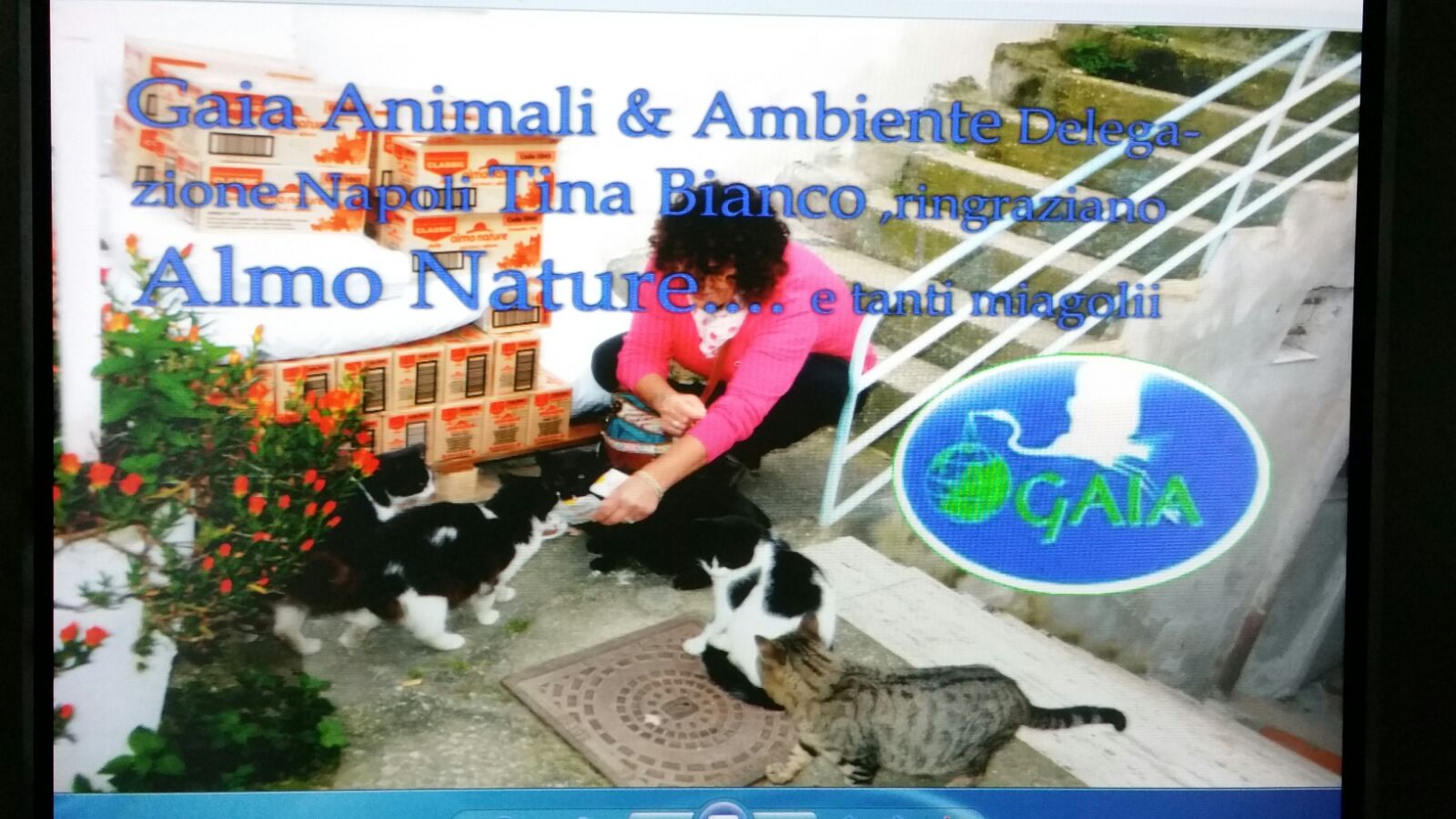 almo nature - gaia napoli img-20160329-wa0007 - copia